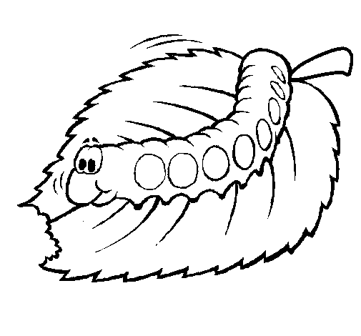 Oruga #7071