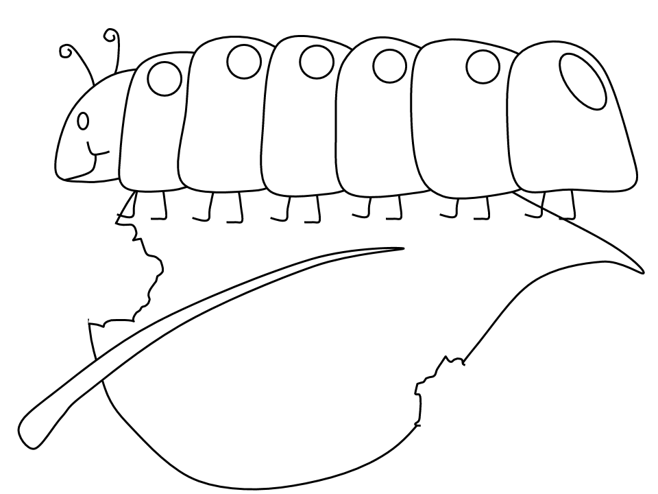 Oruga #7079