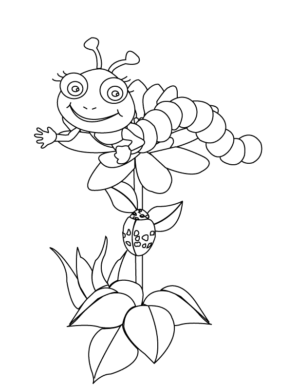 Oruga #7082