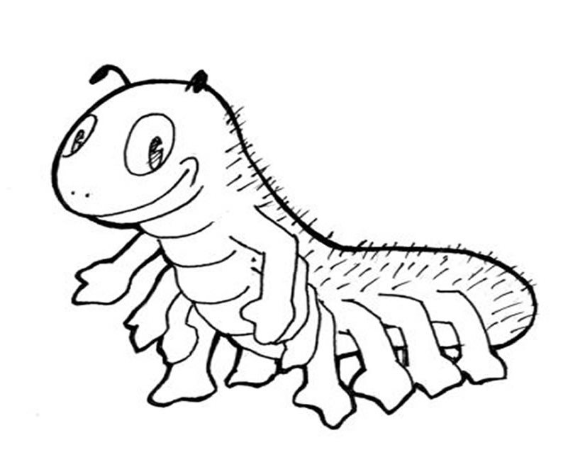 Oruga #7084