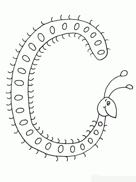 Oruga #7094