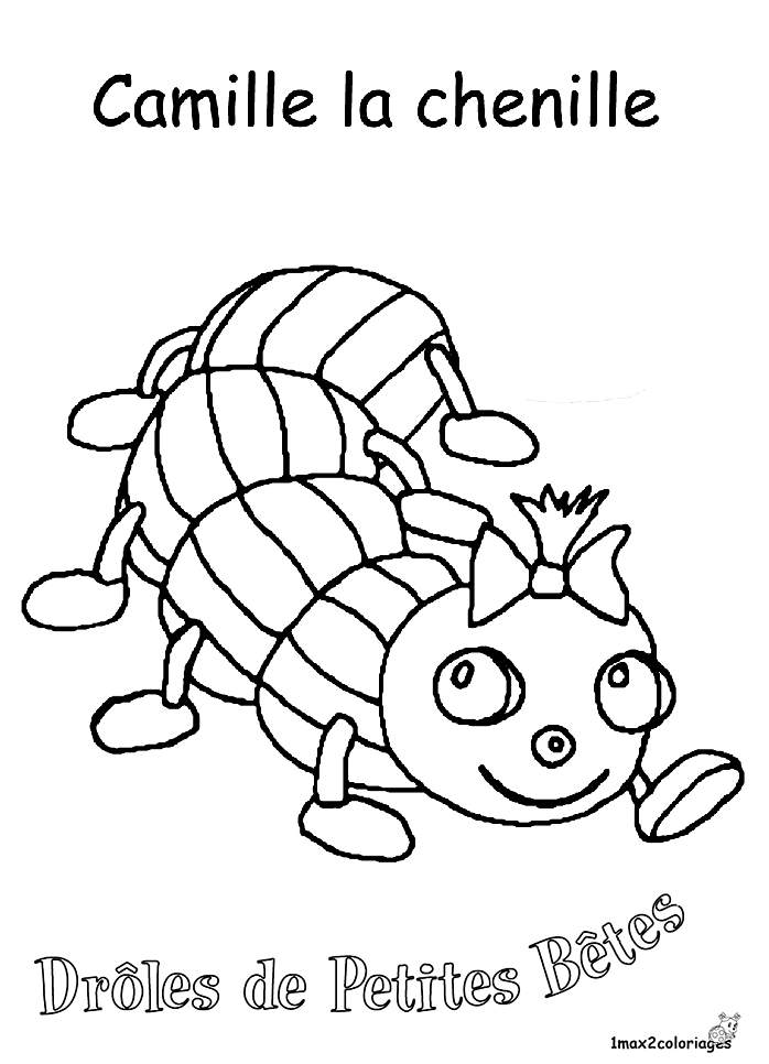 Oruga #7100