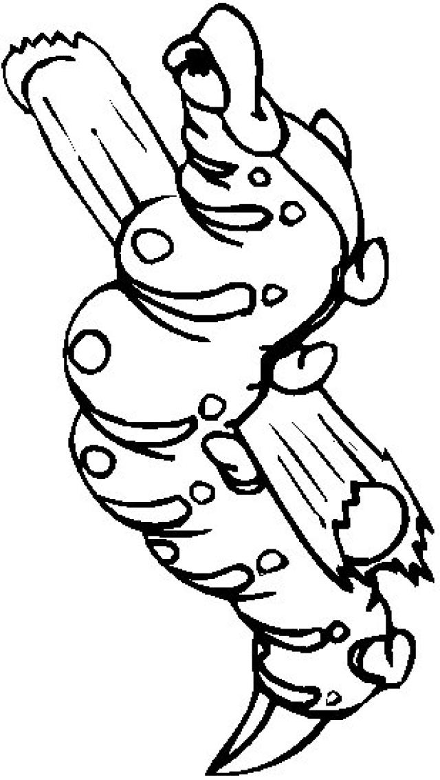 Oruga #7101