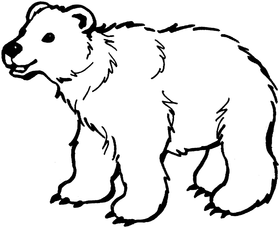 Oso #7106