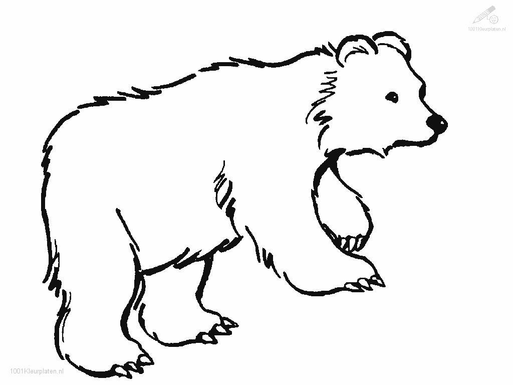 Oso #7112