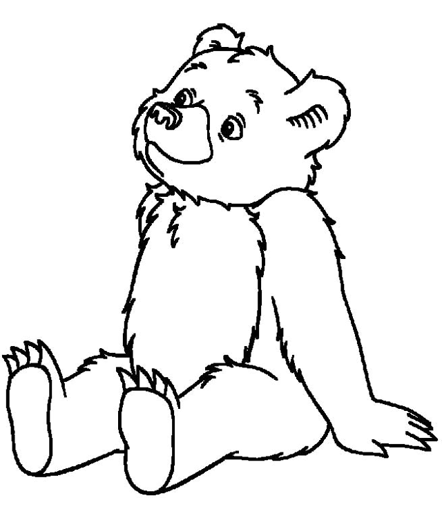 Oso #7114