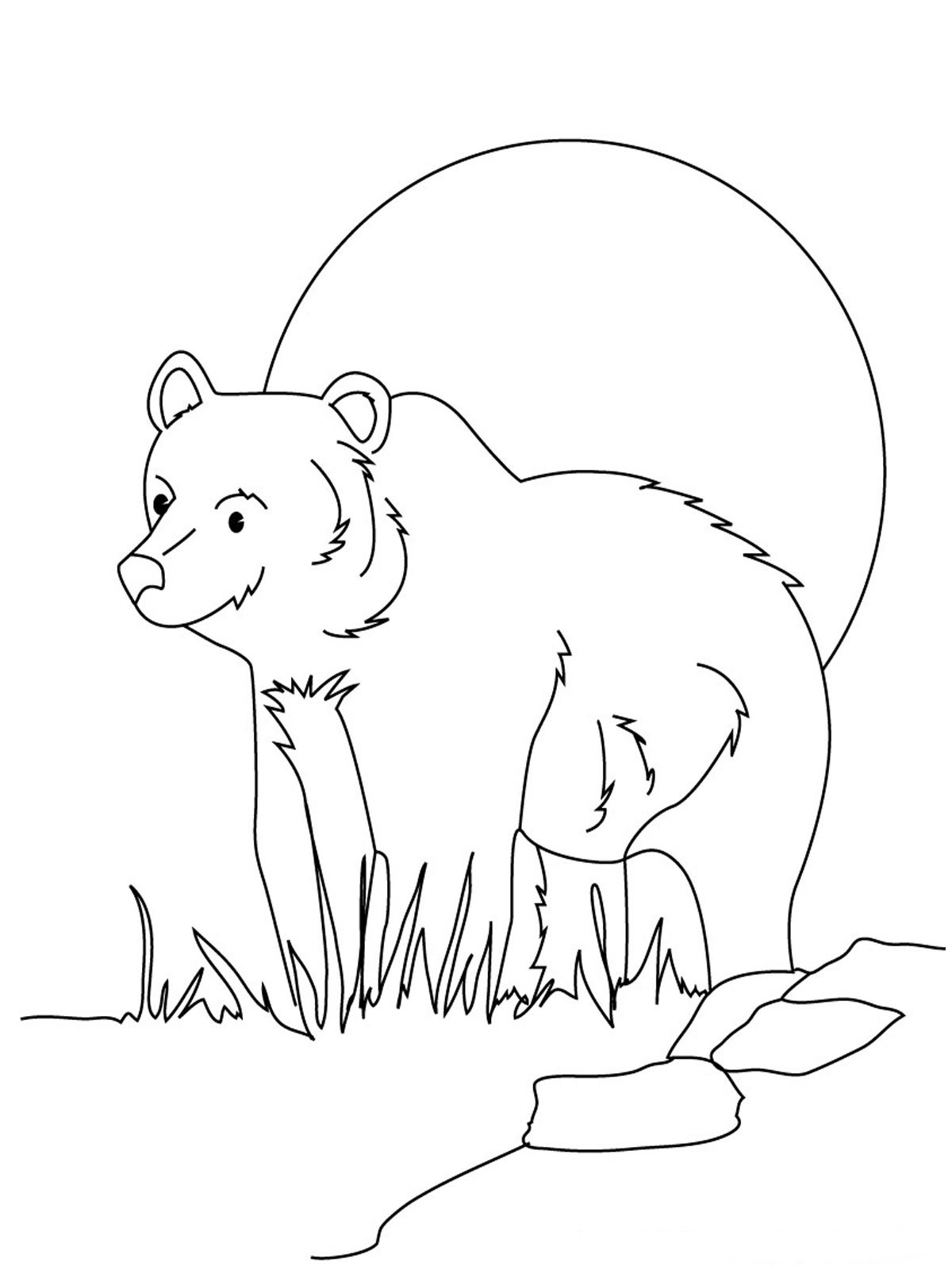 Oso #7120