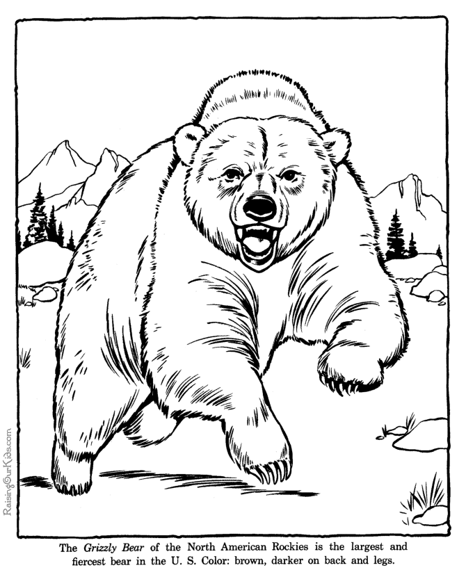 Oso #7133