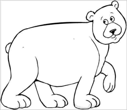 Oso #7144
