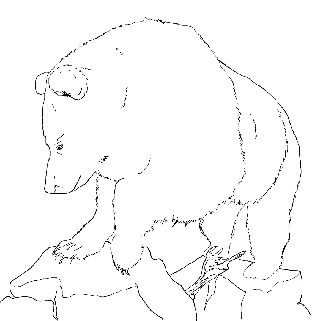 Oso #7177