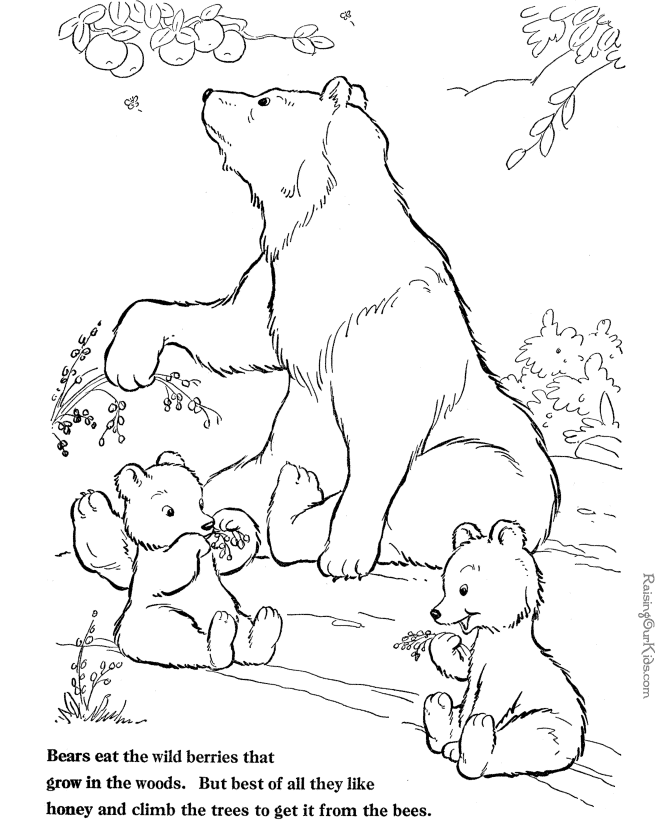 Oso #7178