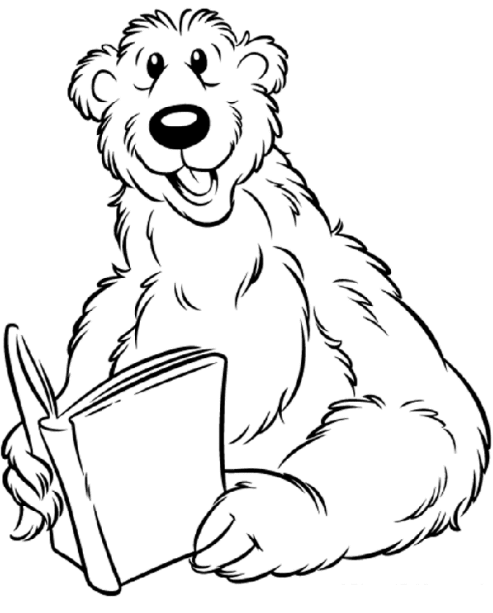 Oso #7179