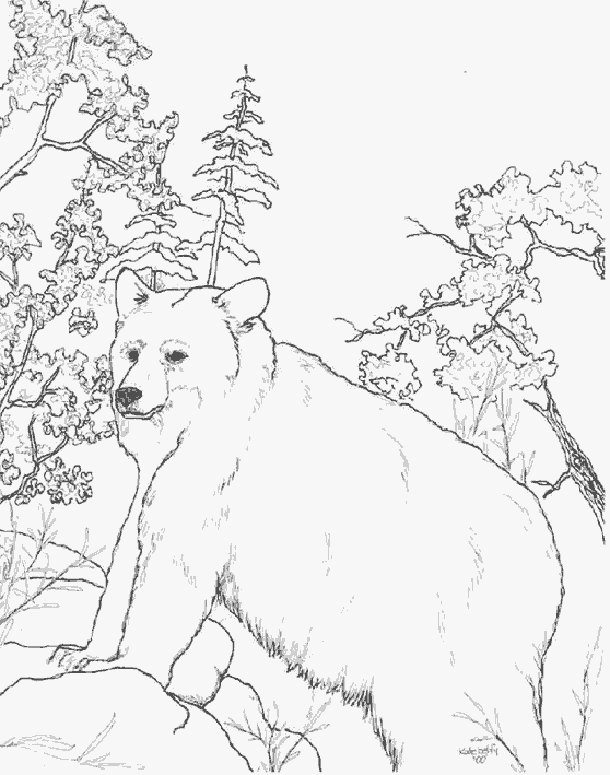 Oso #7182