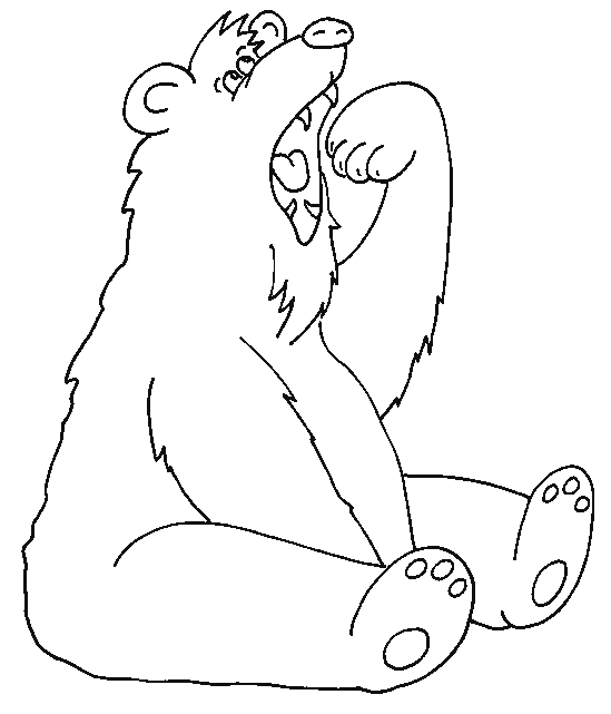 Oso #7216