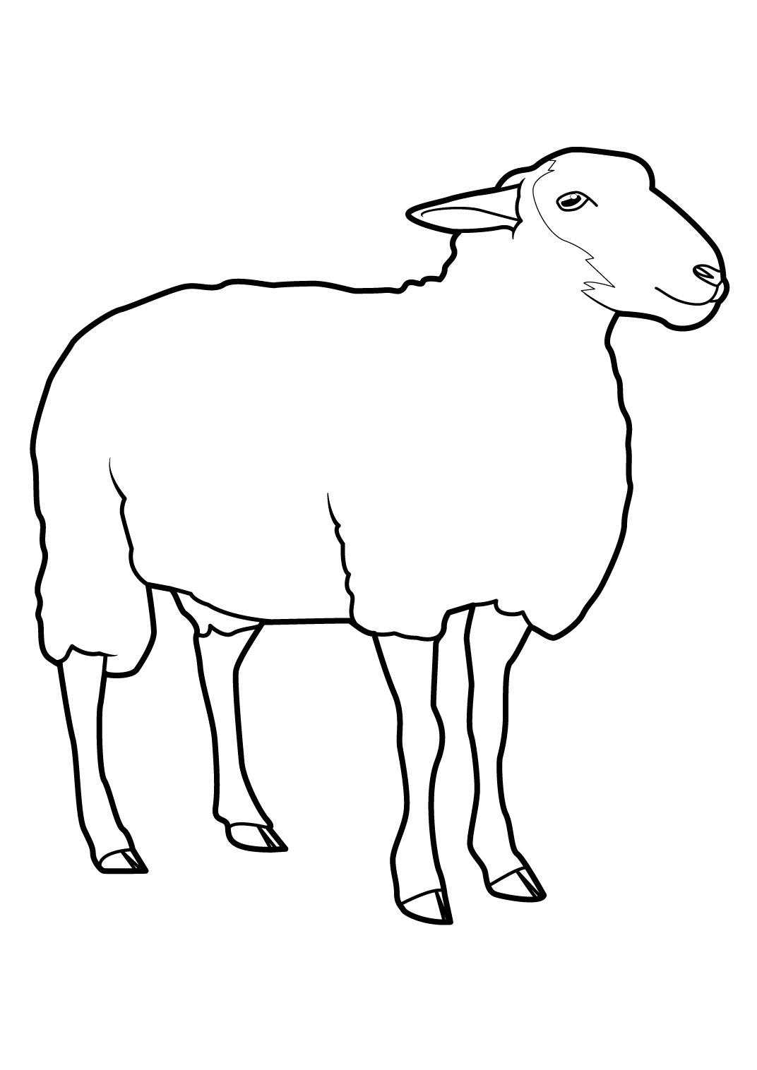 Oveja #7248