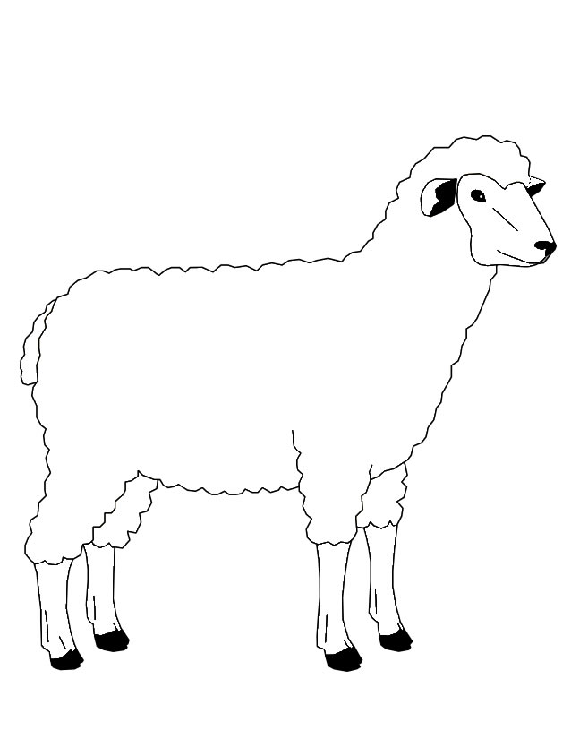 Oveja #7250