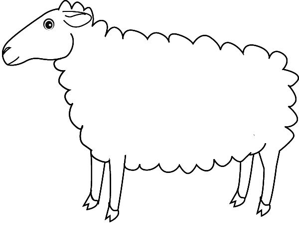Oveja #7265