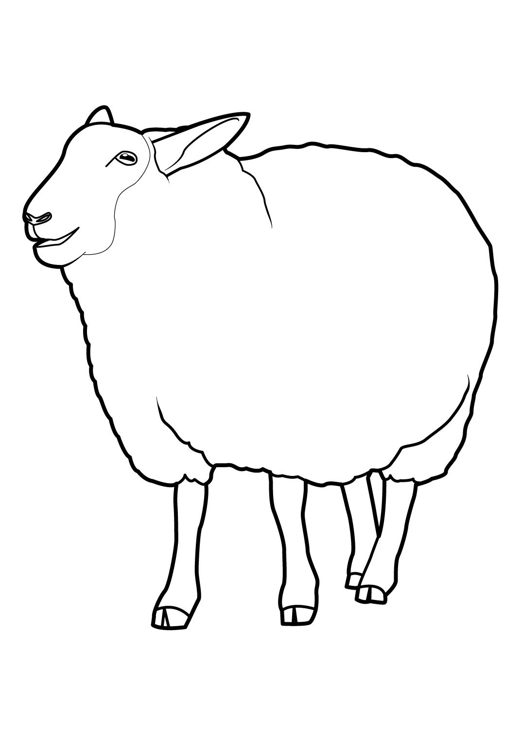 Oveja #7275