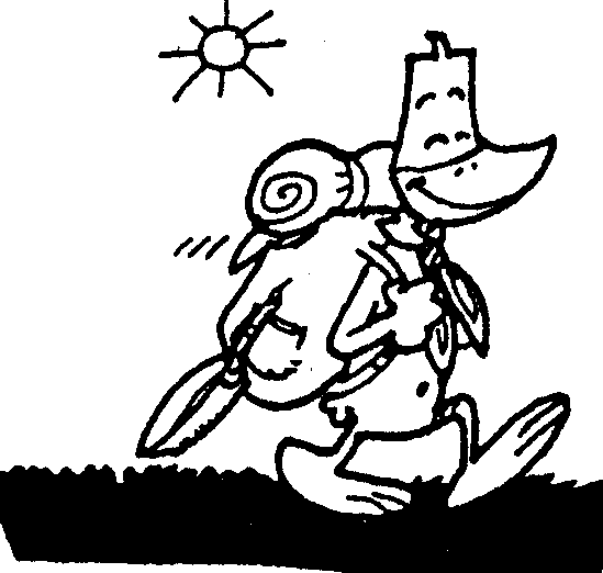 Pájaro carpintero #7369