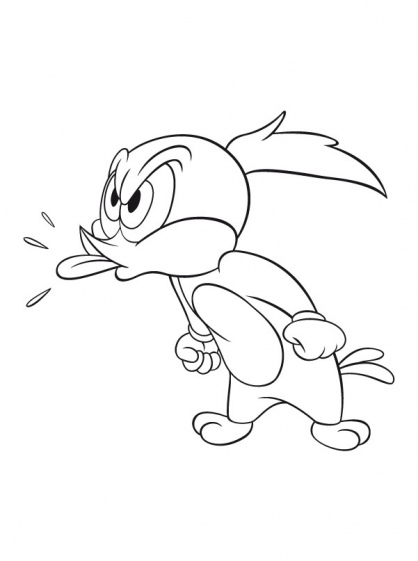 Pájaro carpintero #7372