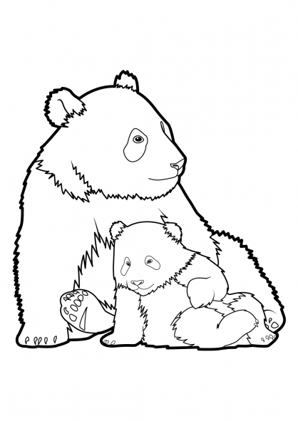 Panda #7481