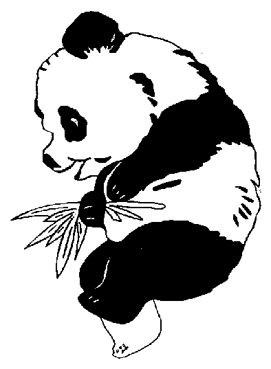 Panda #7489