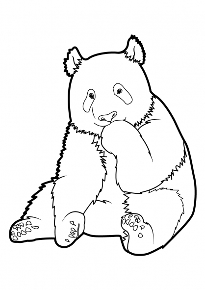 Panda #7495