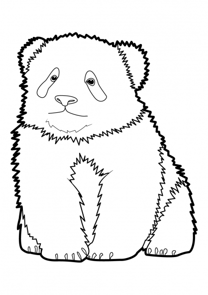 Panda #7504