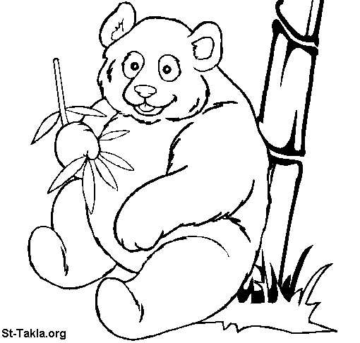 Panda #7515