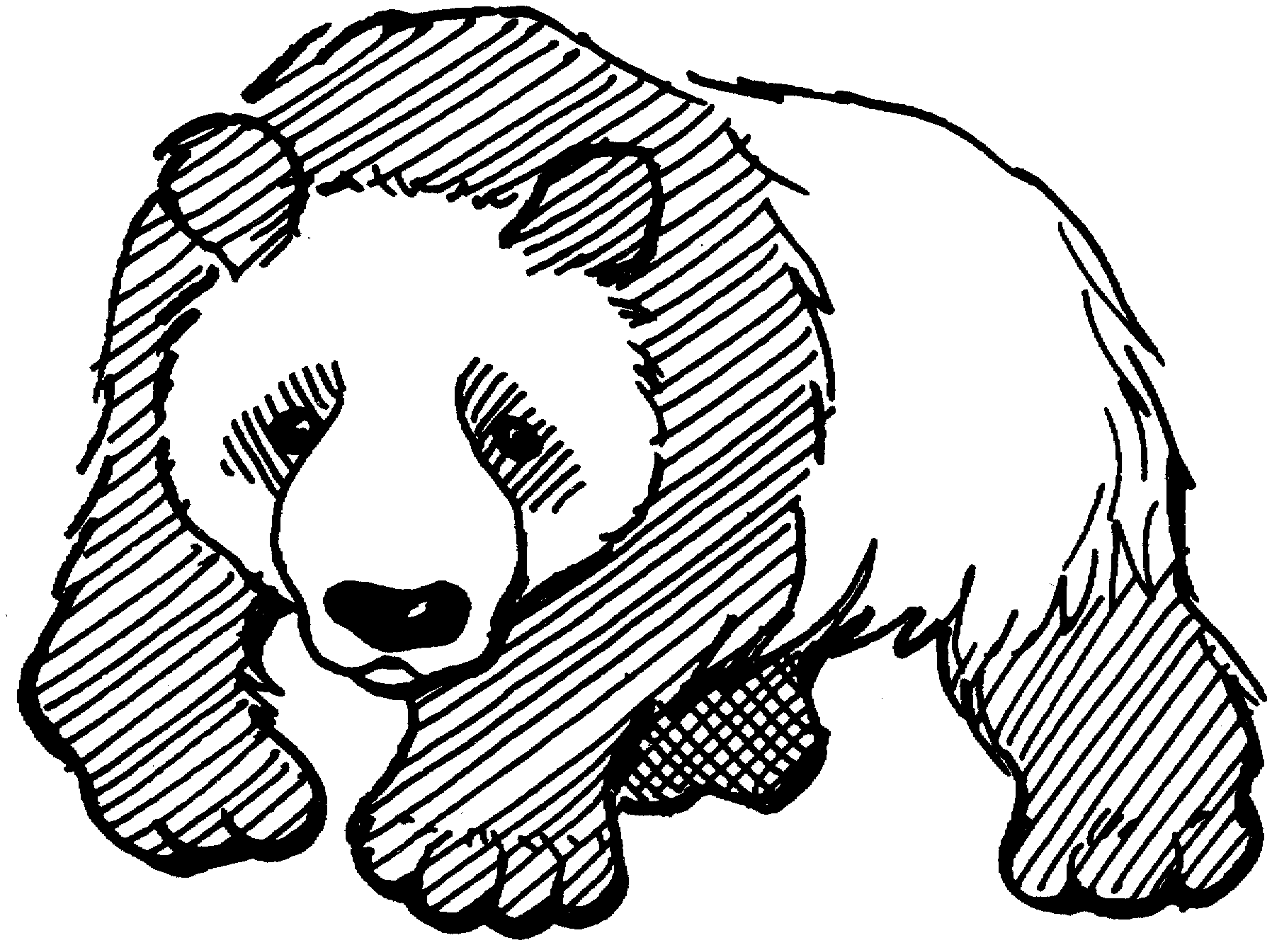 Panda #7517