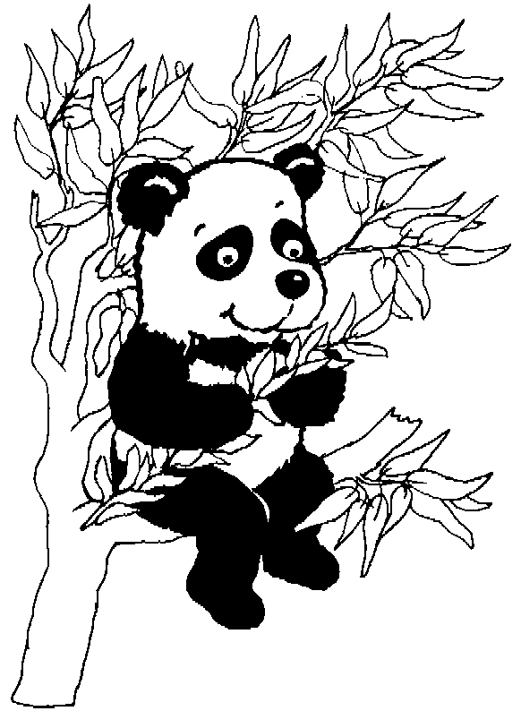 Panda #7524