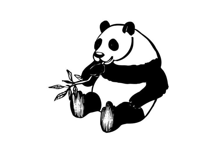 Panda #7532