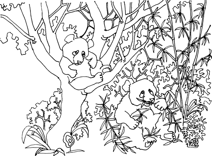 Panda #7533