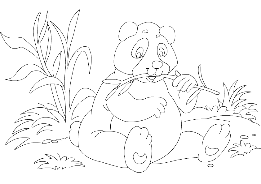 Panda #7534