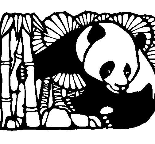 Panda #7543