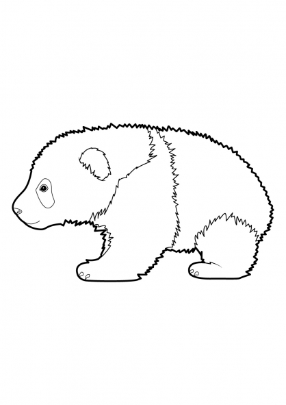 Panda #7548