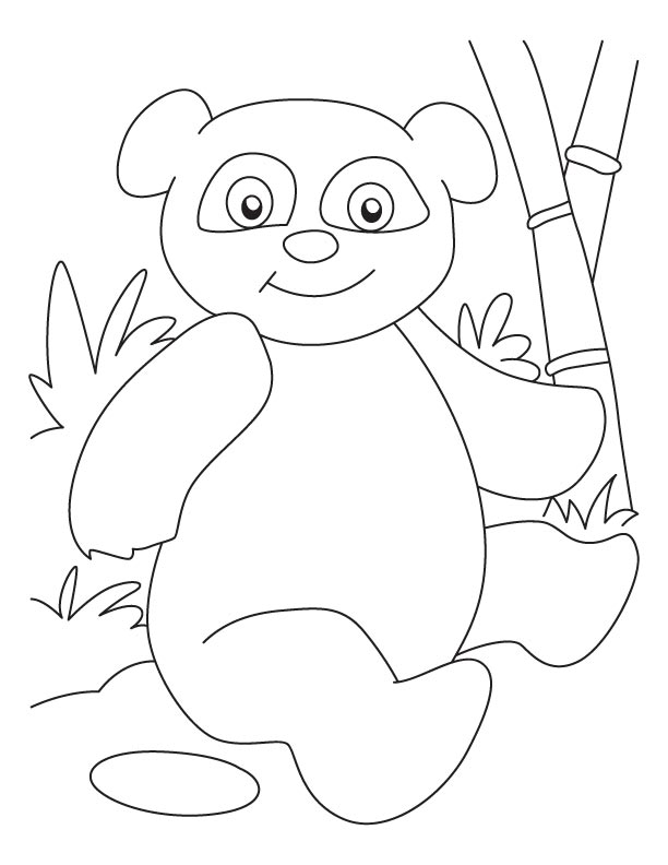 Panda #7549