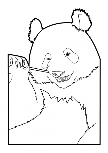 Panda #7552