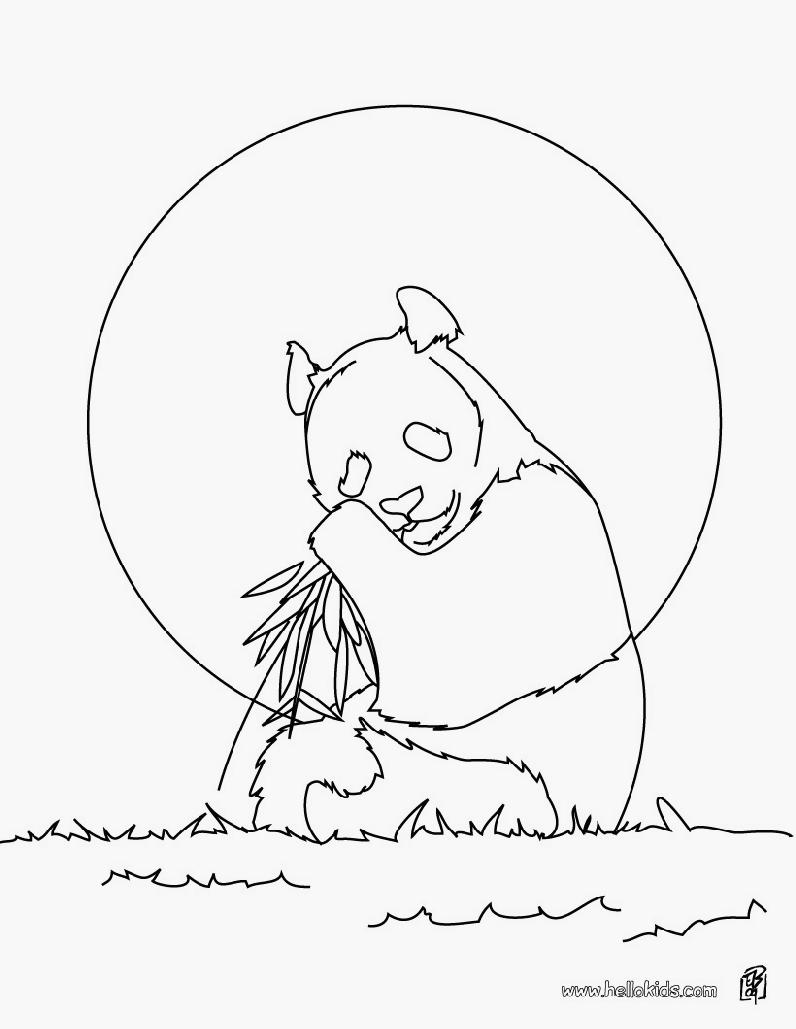 Panda #7554