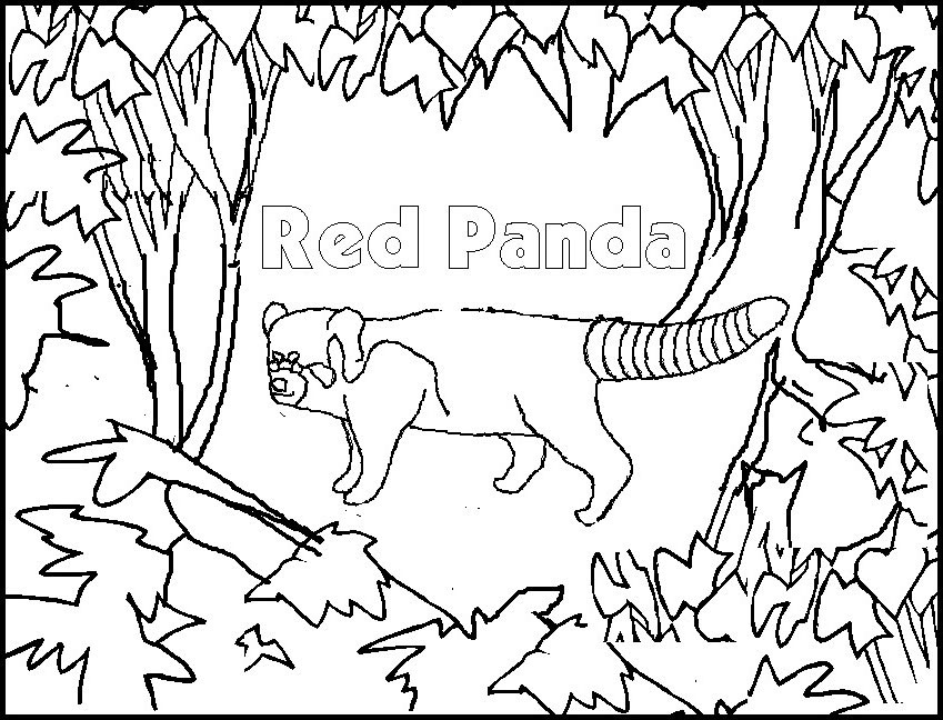 Panda #7559