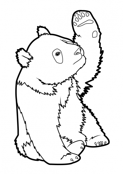 Panda #7561