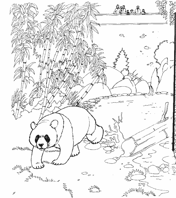 Panda #7568