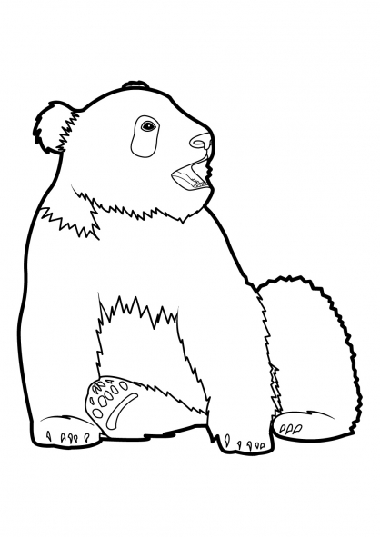 Panda #7578