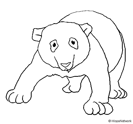 Panda #7579