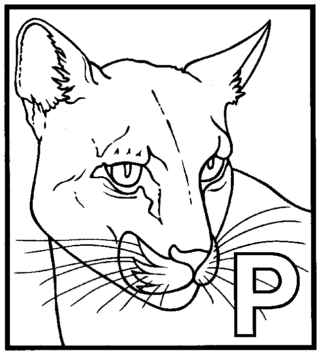 Pantera #7597