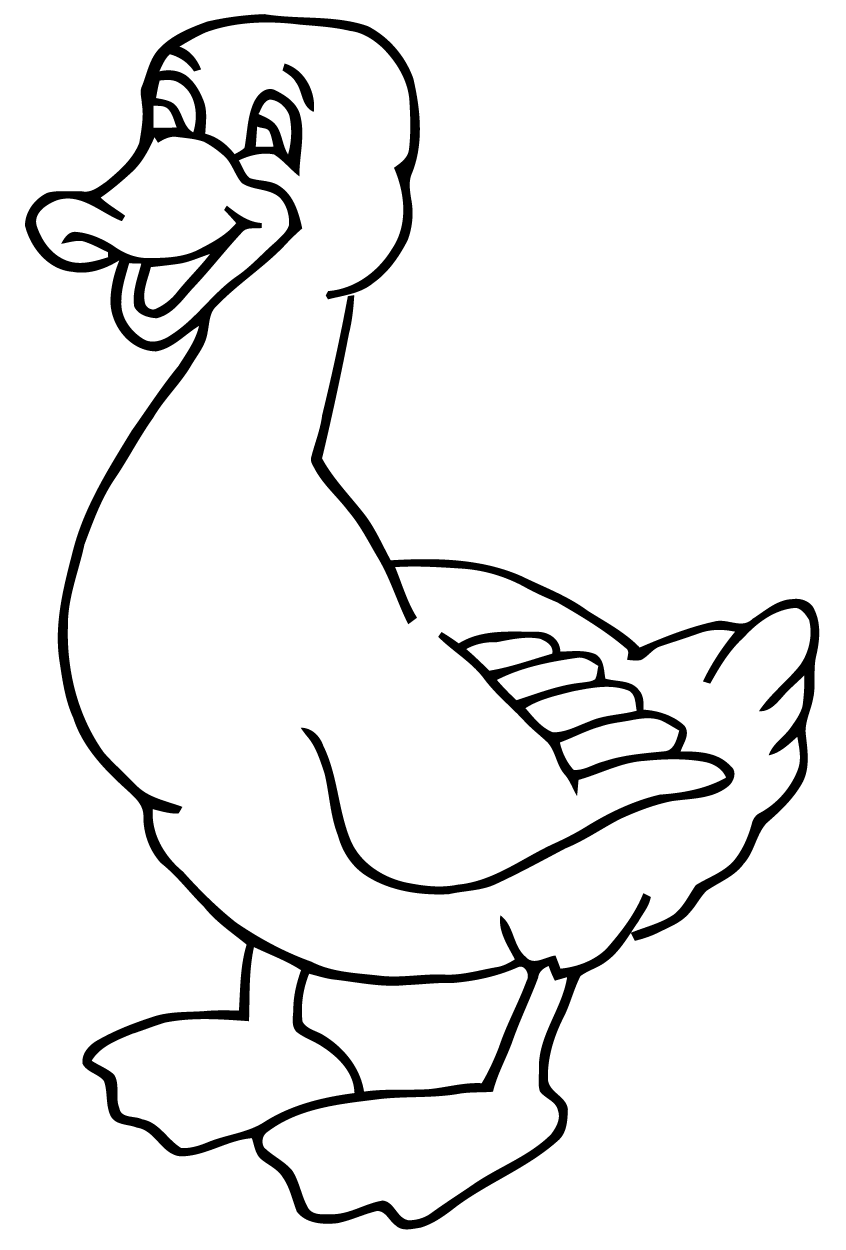 Pato #7638