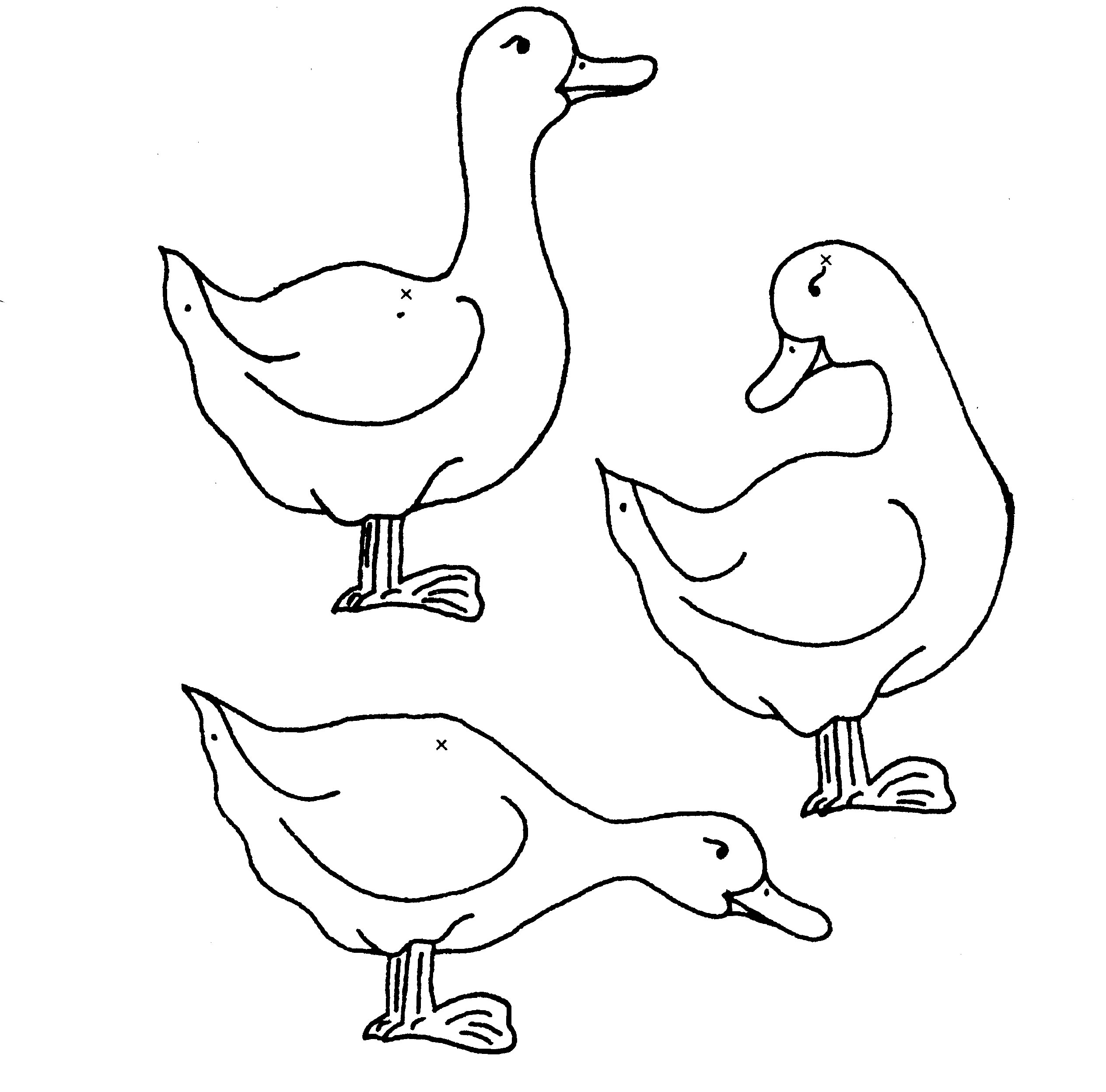 Pato #7650