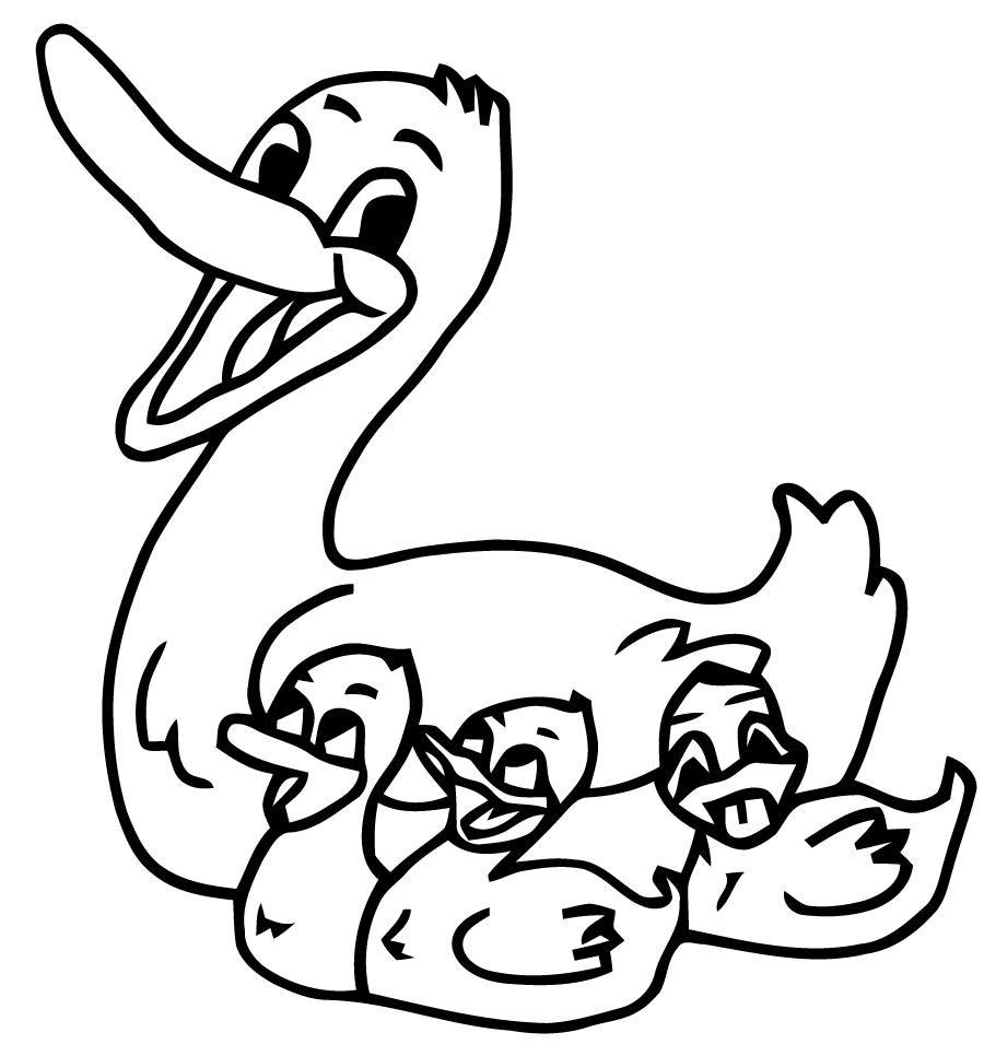 Pato #7652