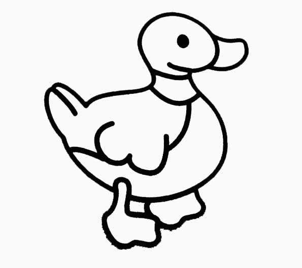 Pato #7653