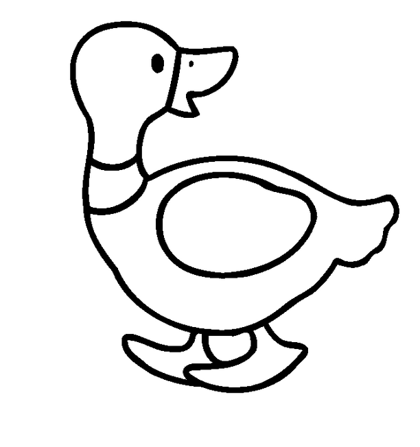 Pato #7655